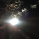 Image for article titled Earthquake Stops Tokyo Disney Ride at the Worst Possible Point